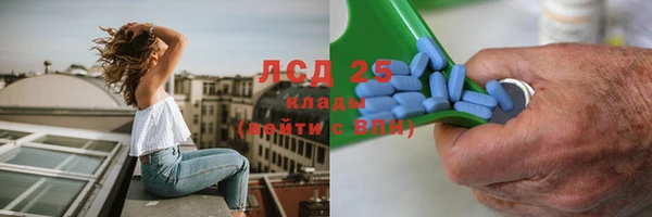 хмурый Алзамай