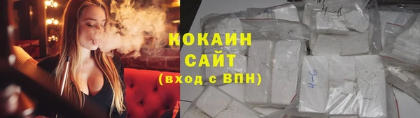 хмурый Алзамай