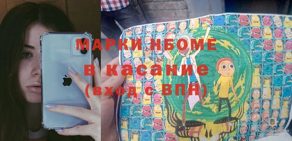 хмурый Алзамай