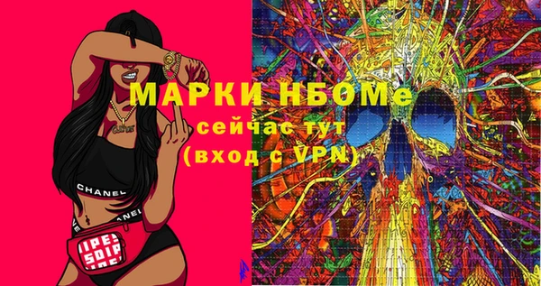 хмурый Алзамай