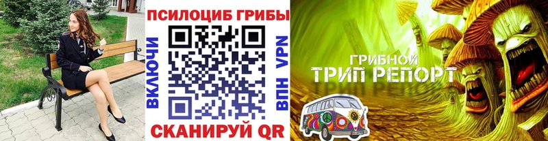 Псилоцибиновые грибы прущие грибы Ликино-Дулёво